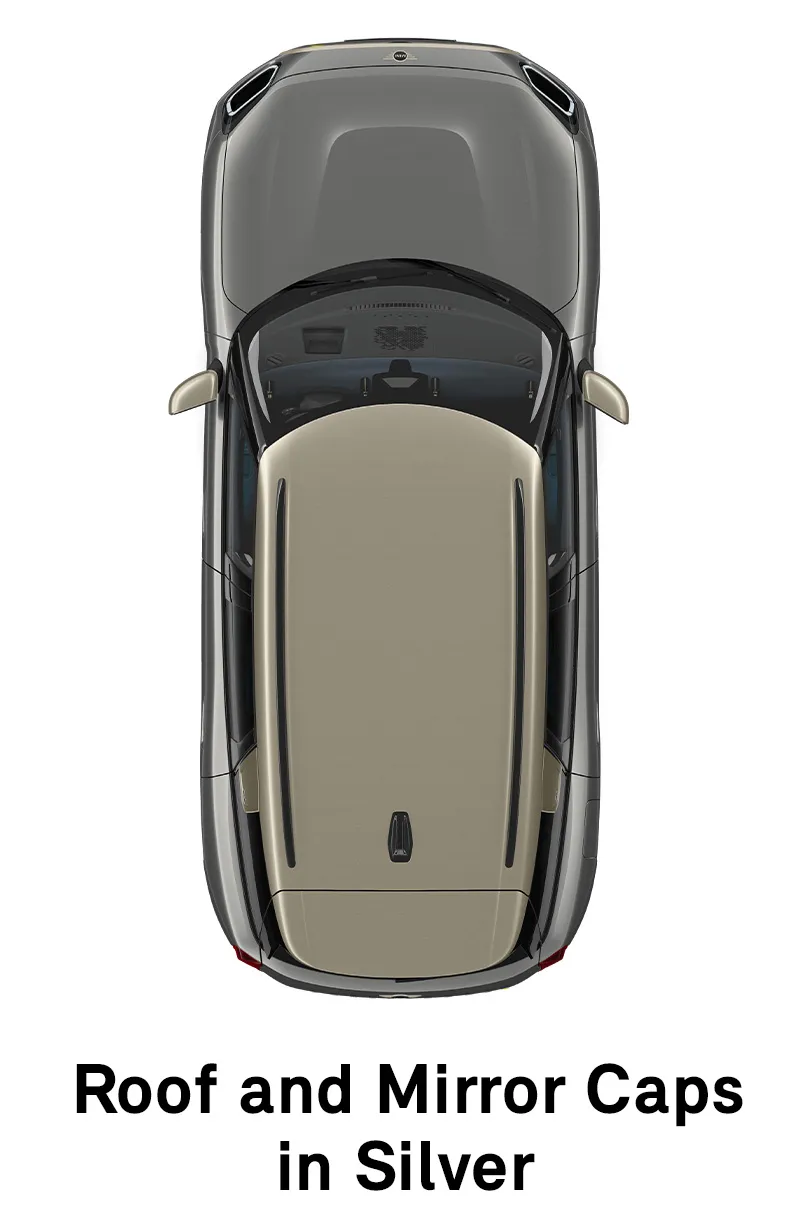 MINI Roof: Roof and Mirror Caps in Silver