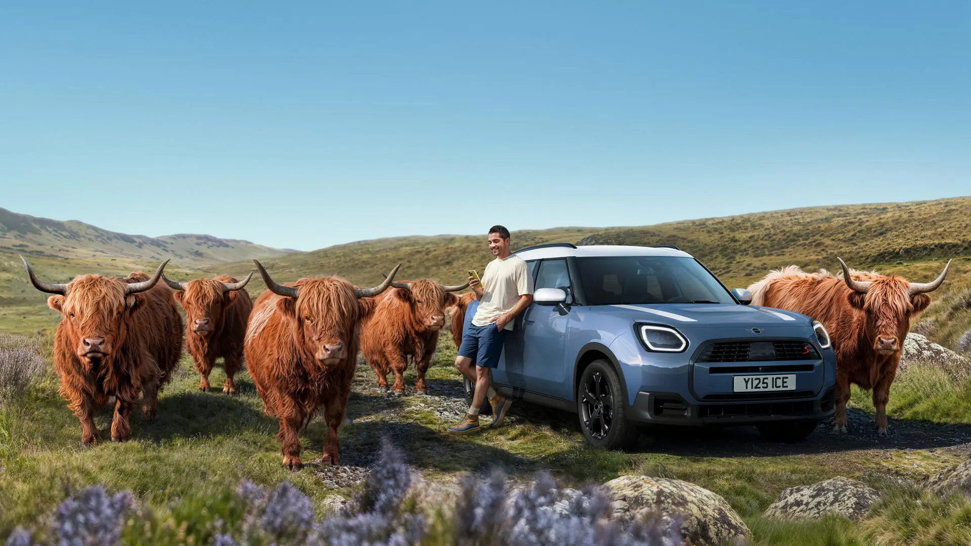 Man leans relaxed against his MINI Countryman S ALL4 while surrounded by Highland Bulls on hilly terrain.